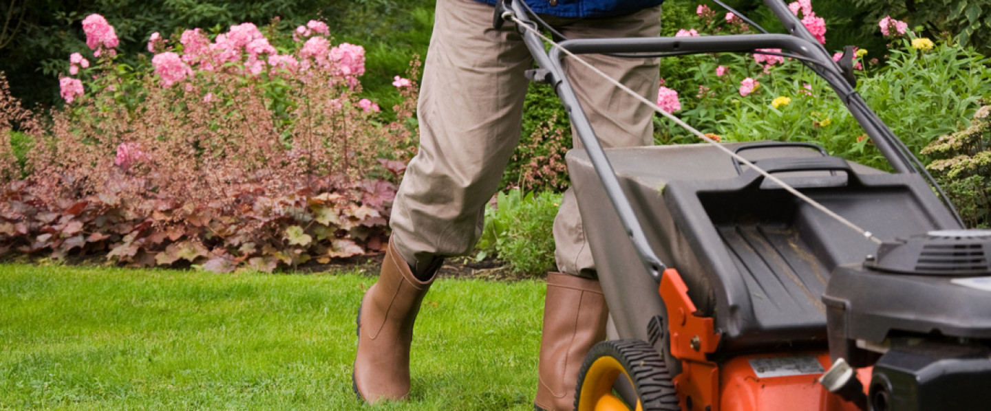 Choose the Local Go-To Lawn Care Company